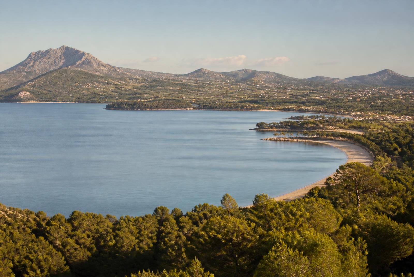 Bay and pine-lined shoreline in northern Mallorca